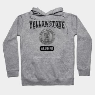 Tower Falls - Roosevelt  Alumni Yellowstone National Park (for light items) Hoodie